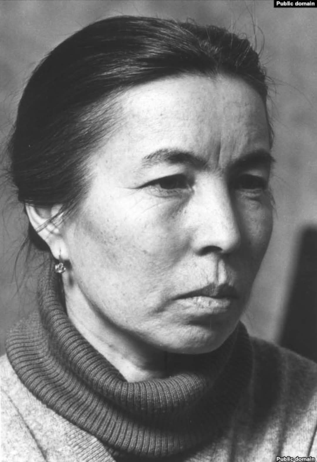 502582872 10162096936998283 3067916382121635192 n