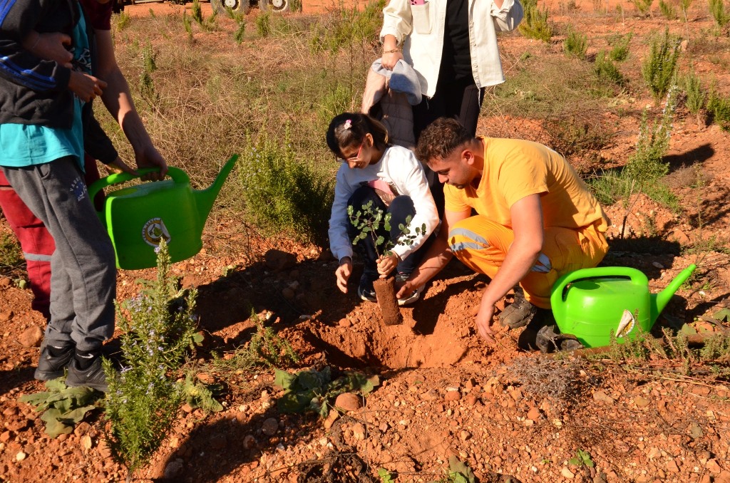 dd56afe8 f72d 4453 946d 54a731464674